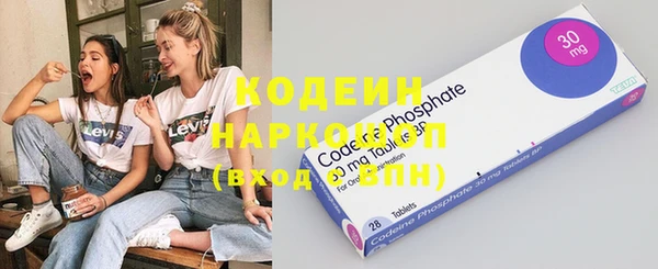 индика Михайловка