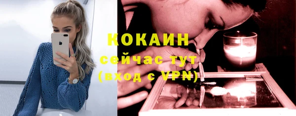 индика Михайловка
