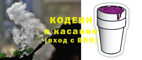 индика Михайловка
