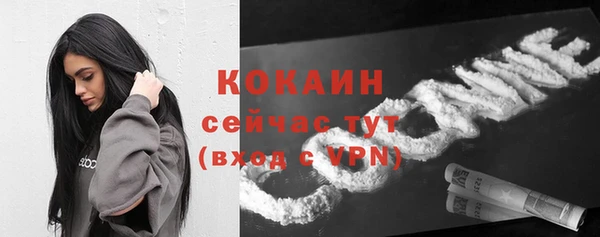 индика Михайловка