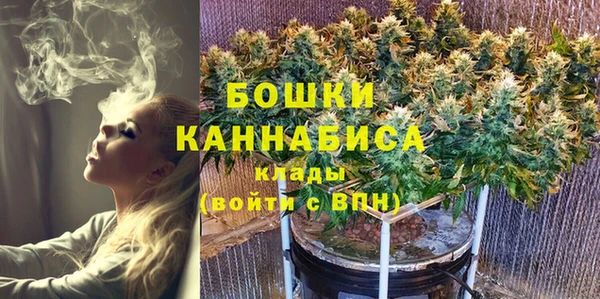 индика Михайловка