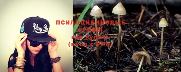мескалин Михайловск