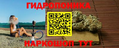 прущие крисы Жуковский