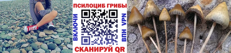 цены   OMG зеркало  Галлюциногенные грибы MAGIC MUSHROOMS  Троицк 