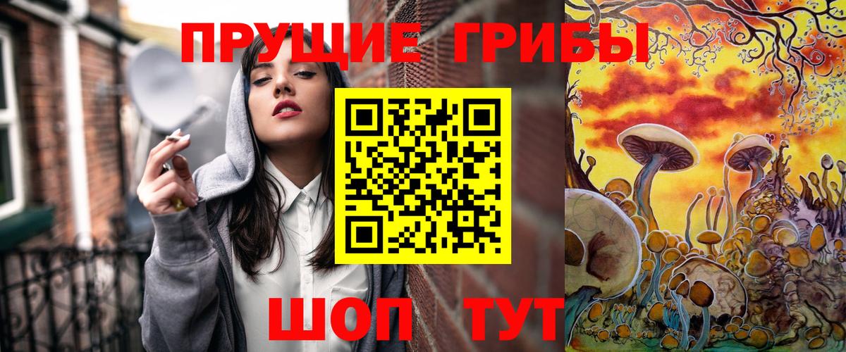 Троицк  Псилоцибиновые грибы MAGIC MUSHROOMS  Вход с VPN 