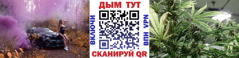 Бошки марихуана THC 21%  Троицк 